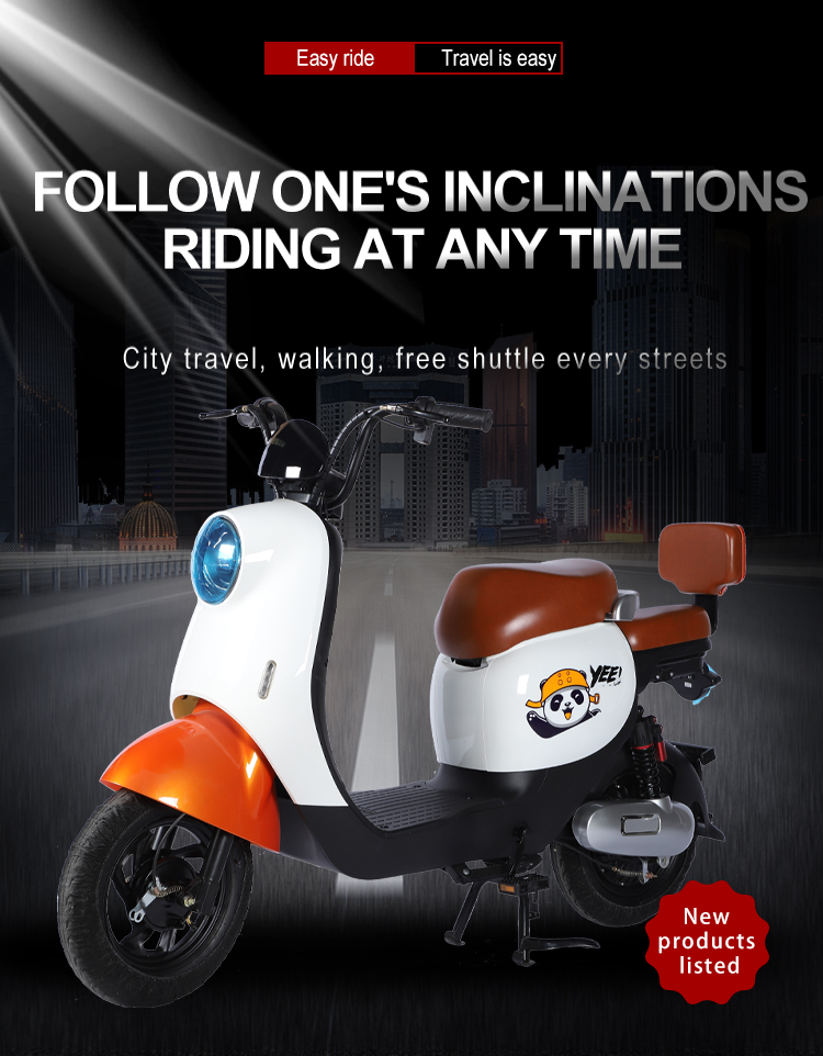 Electric Bike C6