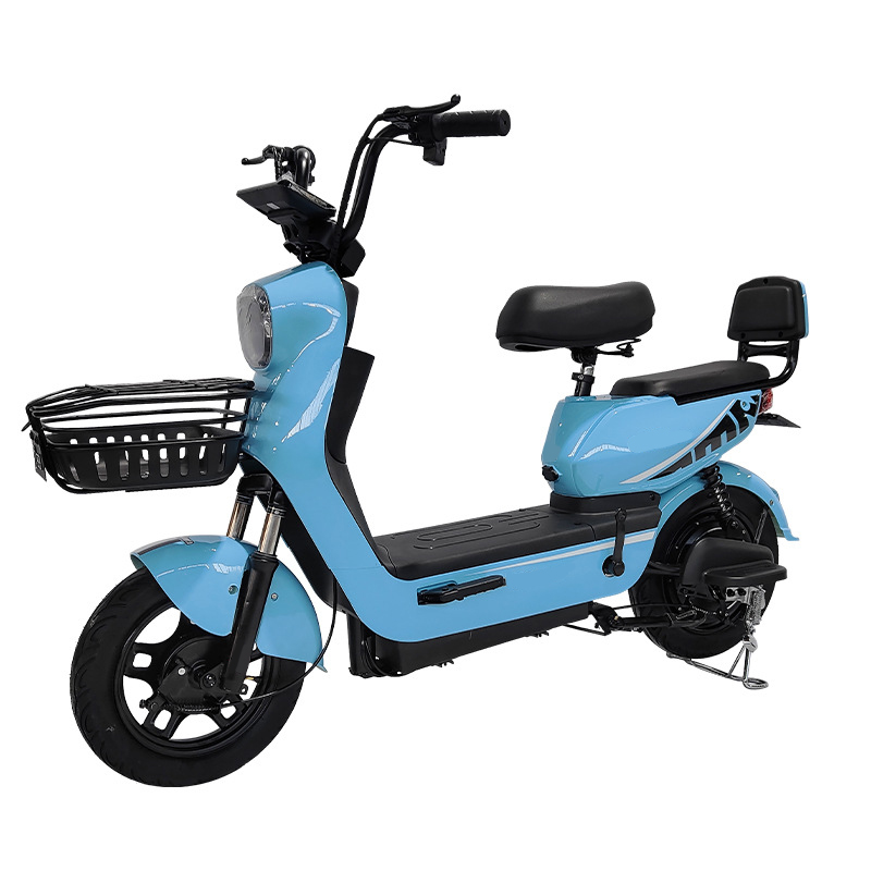 Electric Bike Navigator