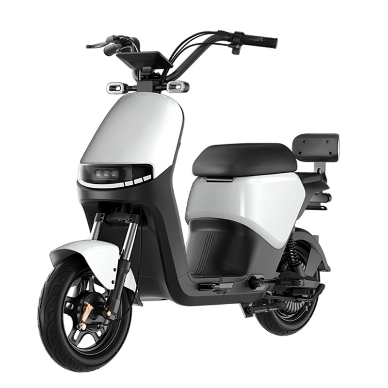 Electric Bike Xingtu