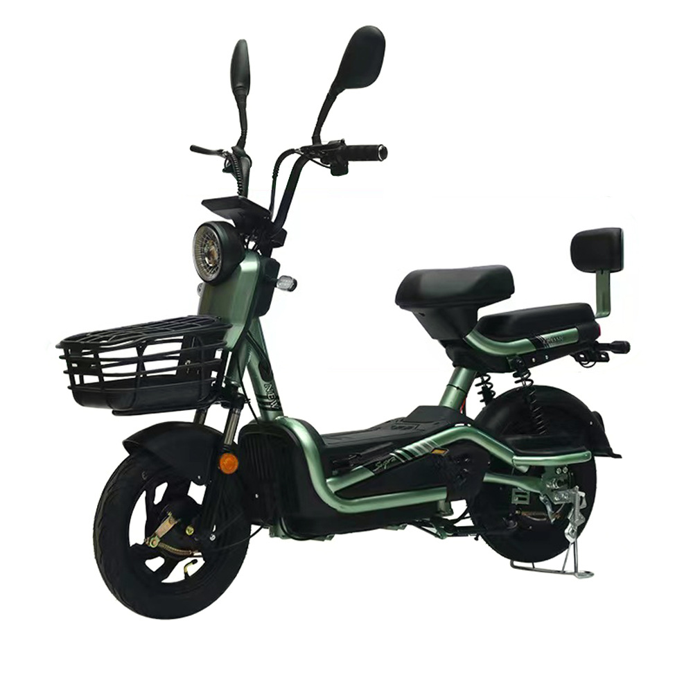 Electric Bike YazhiS
