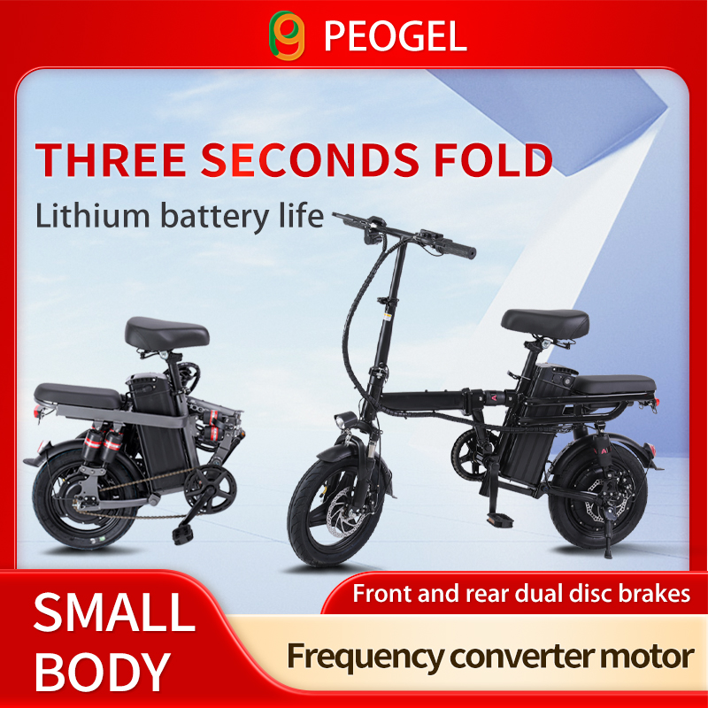 Folding electric bike flagship