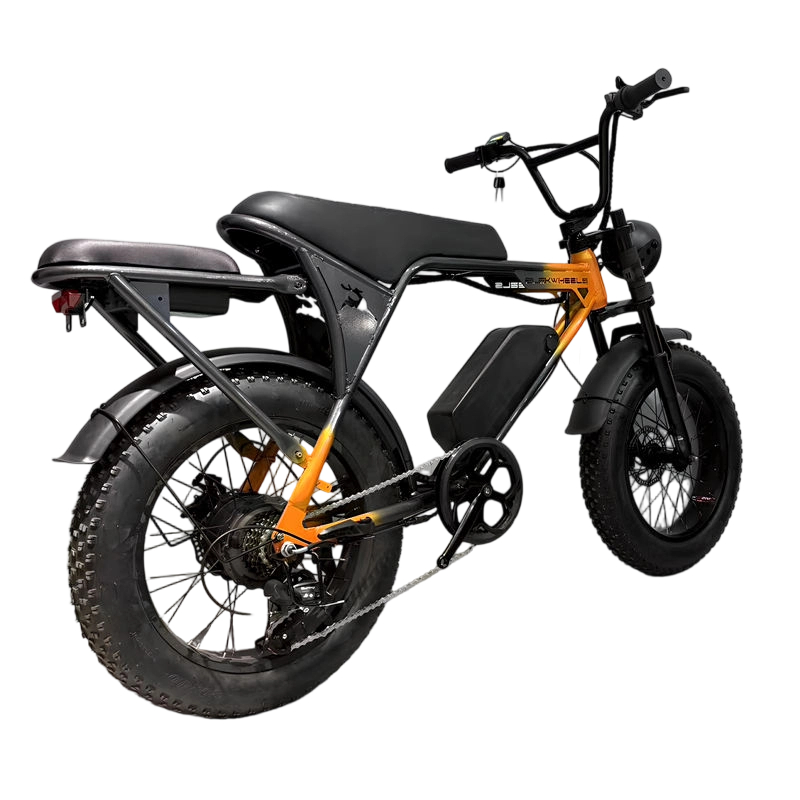 Folding electric bike Z3