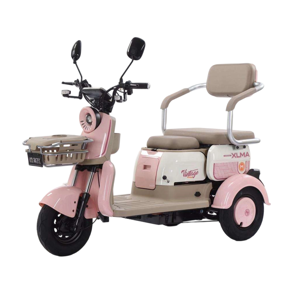 Electric Tricycle Fairy